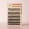 Wispy Spider Lash Clusters